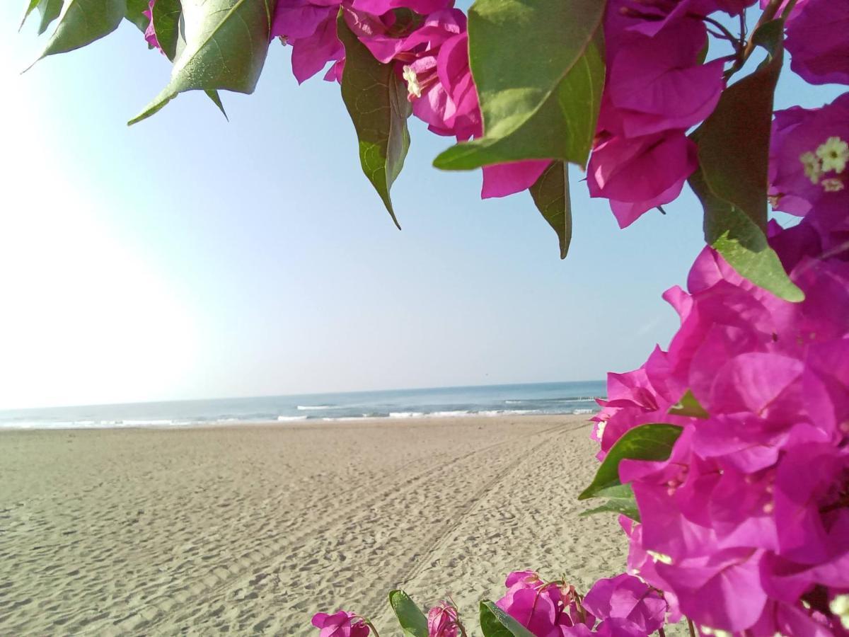 La Bouganville باسوكورو المظهر الخارجي الصورة
